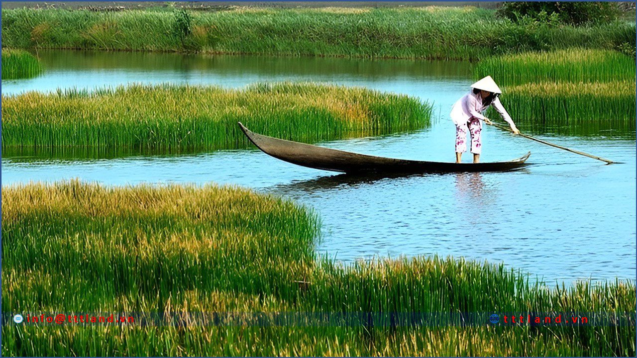 Vẽ đẹp Cà Mau - TTTLAND
